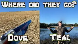 Where did the Teal go? (Early Teal opener 2024)