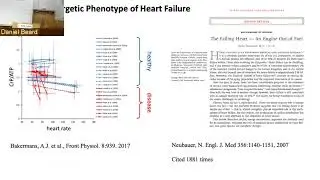 CCMB SEMINAR 02/12/2020 - Daniel Beard, PhD