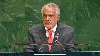 Statement by Senator Mohammad Ishaq Dar on the Peaceful Settlement of Palestine, Two-State Solution
