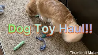 HUGE dog toy haul (13 toys!!!!!)