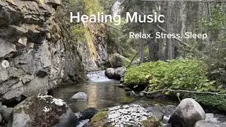 Fairytale Forest Vol. 2: 15 Minute Deep Healing & Zen Meditation