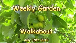 Weekly Garden Update