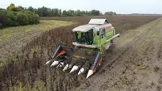 [2021] MÉHES FARM - Őszi munkák/Autumn works