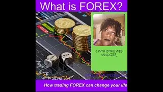 What is FOREX and the Web Analyzer(Vibrata)?