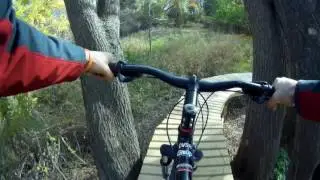 Novi tree farm trail Mi