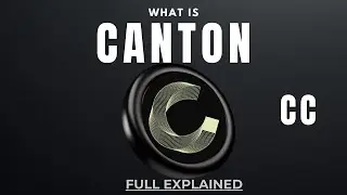 Canton Network ($CC) Explained: Wall Street&rsquo;s Blockchain Play Finally Goes Public? 🏦⛓️