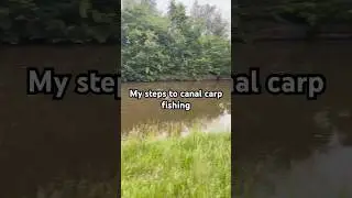 Carp life canal campaign 2024 #carpfish #carpbites #carp #fishing #carpfishing #carpbites&runsuk