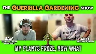 Guerrilla Gardening Show Ep #28 What To Do After a Frost