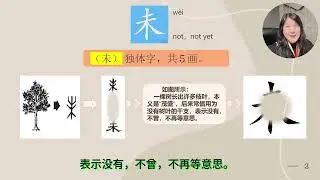 wei - 未 / not, not yet,（图解汉字）Chinese Character Evolution（暨南中文，马立平中文，华文，人教版中文生字词）