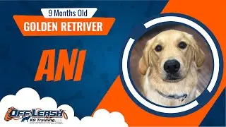 Ani: Training Success Story!