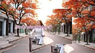 Hà Nội Mùa Phượng Vĩ – Một Mùa Hạ Đỏ Khó Quên