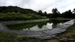 Lake, Swami Vivekanand's favourite spot