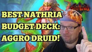 The BEST BUDGET DECK in Castle Nathria - Aggro Druid Guide - Hearthstone