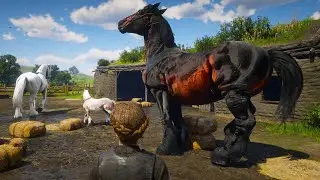 RDR 2 | The Thrilling Adventures of a Cowgirl Horse Tamer | Emerald Ranch