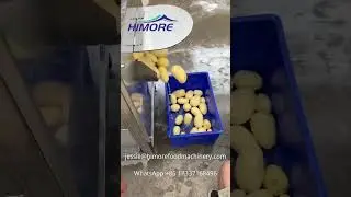 Automatic Potato Washing and Peeling Machine