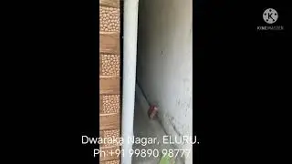 Duplex House within 50Lakhs in Eluru.