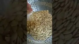 saving pumpkin seed for next year's garden 2023