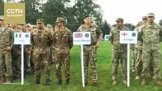 В Украине начались военные учения НАТО 