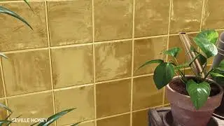Artisan Honey Wall Tile Collection