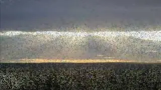 Anna Shannon. Yorkshire Song.