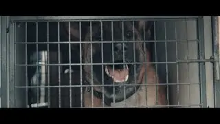 STREET SOLDIER - TURN DANGEROUS [OFFICIAL MUSIC VIDEO] (2020) SW EXCLUSIVE