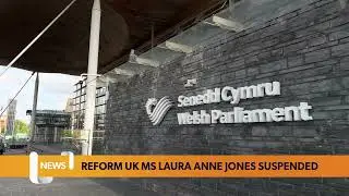 Reform UK MS suspended for &lsquo;racist language&rsquo;