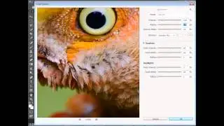 Get more detail with sharpening and noise reduction