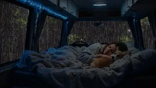 Relaxing Rain & Thunder on Cozy Car ⛈ Deep Sleep Sounds, Anxiety Relief, Stress Free Night Ambience