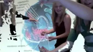 Mitosis Project-Ms. England's Class