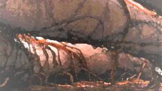 Khthoniik Cerviiks - SeroLogiikal Scars (Sequence 1.0: Vertex of Dementiia)