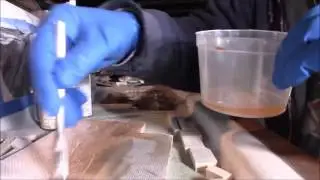 Balsa Deck Core Replacement