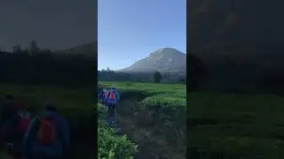 Gunung Sindoro #trailrun Dieng Caldera Race 2024 21k