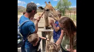 Ostrich Farm - Oudshoorn, South Africa!