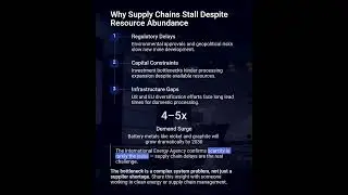 Critical Raw Materials The Bottleneck Is Often Not the Supplier