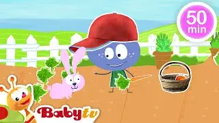 Sebze Bahçesi 🍅​🥒​+ Daha Fazla En İyi Bölüm ve Çocuk Şarkıları | Çocuklar için videolar @BabyTVTR