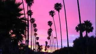 Kalan FrFr + Aflacko + Capolow west coast type beat  (gl💫wzano) 2022
