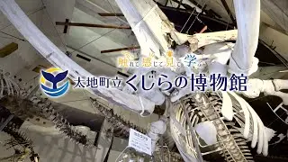 ≪くじらの博物館≫　PR動画（約30秒）