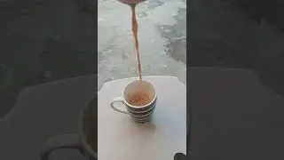 TEA lover most trending song