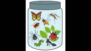Bugs In A Jar | Incentive Reward | Activity | VIPKid, Small Group, Centers #vipkid #vipkidrewards