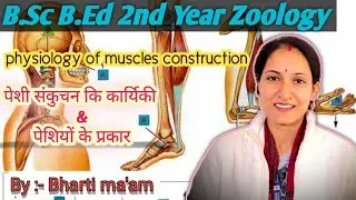 B.sc b.ed /B.sc 2nd year Zoology//physiology of muscles construction // by Bharti ma'am lecturer 