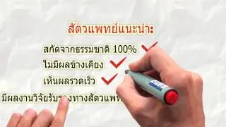 VetzPetz Thailand Commercial