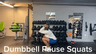 Dumbbell Pause Squats