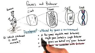 Genetic basis for behavior - Intro to Psychology