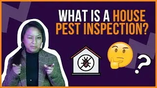 What is a Pest Inspection?