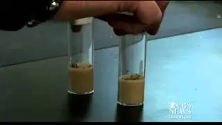 Scientists slow aging in fruit flies