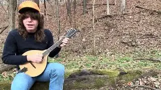Jesse Welles - Help Me (bass, drums, and percussion added)