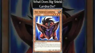 What Does Big Shield Gardna Do?