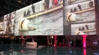 Discovery's Shark Week 25th Anniversary Event...event eleven