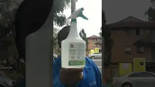 Adaolisa Universal Disinfectant is Marking World Neglected Tropical Diseases Day 2026 by (WHO).
