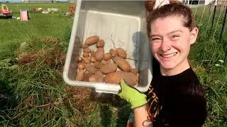 First ever potato harvest | Fishing trip and Food prep